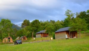 1572523182_chalets-pignes-2019-web