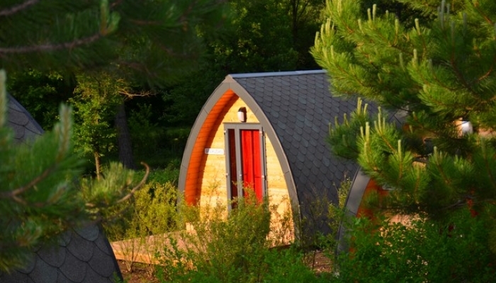 1572523267_pignes-gevaudan-web