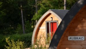 1572523300_pignes-7-web